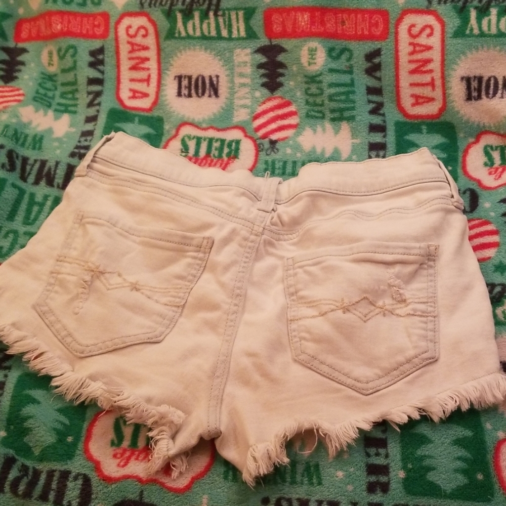 Shorts - Picture 2 of 2
